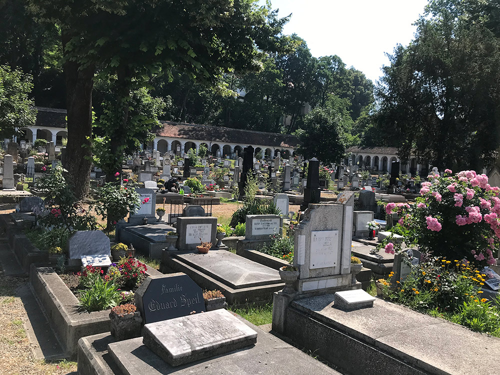 A brassói evangélikus temető, 2021. július