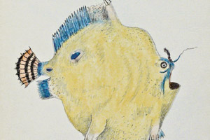 Ceyloni csáposhal (békahal) Xántus jegyzetkönyvéből