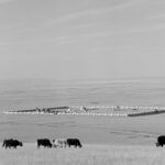 Az ősi város Karakorum - amely rövid ideig a Mongol Birodalom fővárosa volt Ögödei mongol nagykán alatt - romjai. Harhorin, 1964. november 1. MTI Fotó: Lajos György