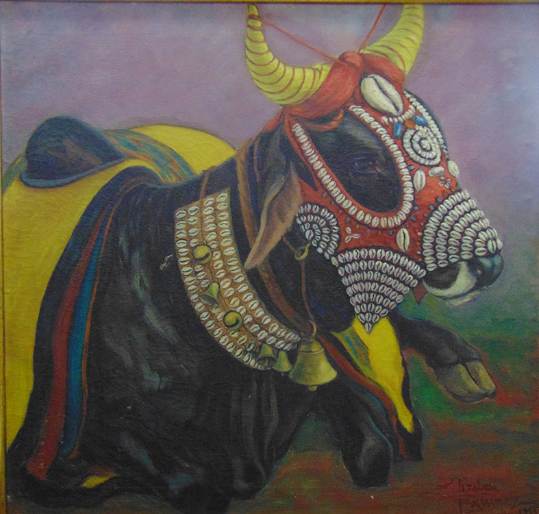 Szent bika, Baródá, 1958