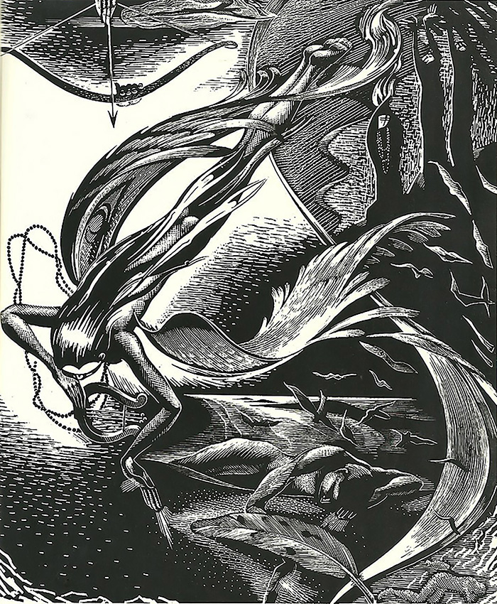 Sándor Éva illusztrációja az Emberi Jogok kiállításhoz. Forrás: Georgette Coty: The Rights of Man, Melbourne, 1968