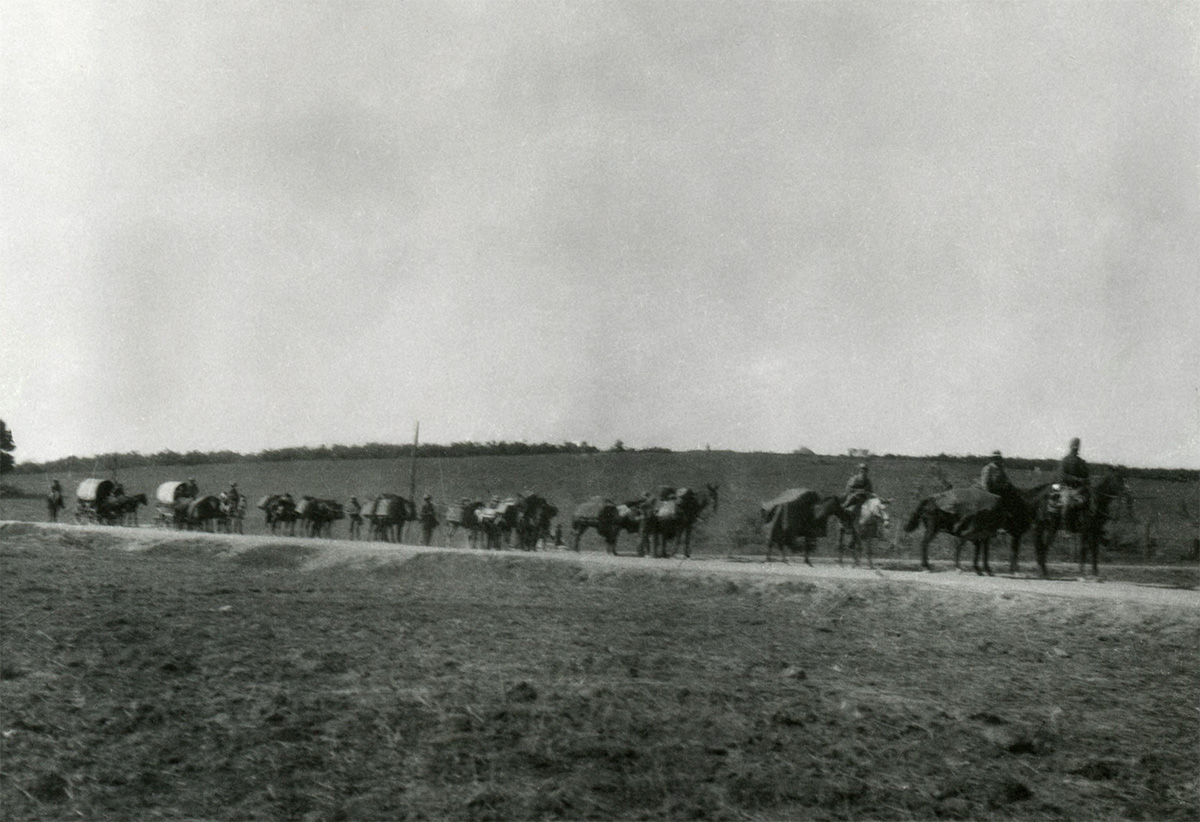 Az expedíció Szultancsiftliknél. Györffy István felvétele, 1918. Forrás: Györffy István Nagykun Múzeum, Orientalisztikai Gyűjtemény, Karcag, ltsz. 87–2000.