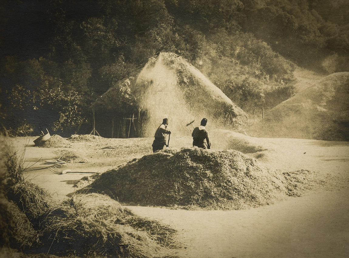 Cséplés Burgurliban. Györffy István felvétele, 1918. Forrás: Györffy István Nagykun Múzeum, Orientalisztikai Gyűjtemény, Karcag, ltsz. 87–2000.